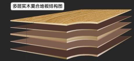 section view of engineered hardwood flooring