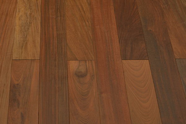 overview- brazilian walnut flooring
